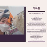 개멋지냥