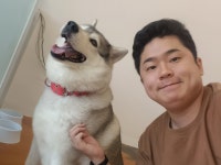 미용하개, 놀다가개