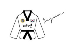 예건태권도