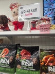 씨유펫 춘의동점