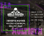 고릴라멀티짐 분당서현점