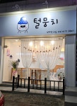 털뭉치 반려견미용실