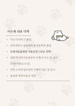 송송펫