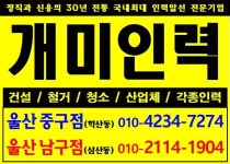 개미인력개발 울산남구점