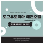 도그유토피아 애견호텔