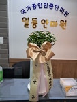 일등안마원