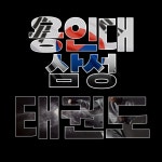 용인대 삼성 태권도