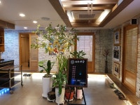유하일식