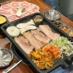 돼지국민학교