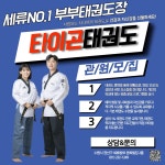용인대 타이곤 태권도