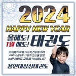 용인대 삼성 태권도