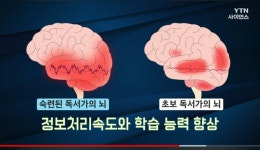리드인 독서논술 강릉교동택지책봄점