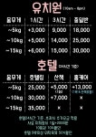 도그비잉펫케어2호점