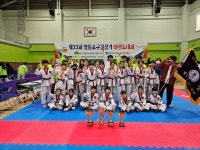 강철태권도