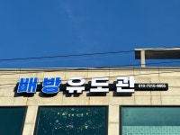배방유도관