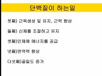 여의핏 점핑 다이어트