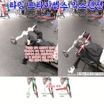 트레인휘트니스 유성점