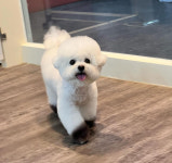 아키하우스