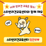 스타반려견교육센터