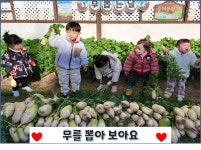 즐거운영재어린이집