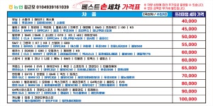 베스트손세차