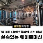 에스필드 피트니스 삼화골드