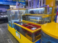 강동수산직판장 신사점