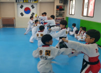 고려대솔빛태권도