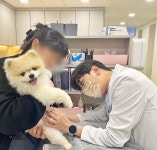 청담고운피부과동물병원