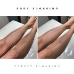 슈가포레스트