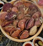 달빛아래