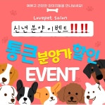 러브펫살롱