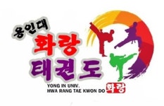 용인대화랑태권도