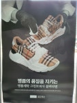 크린토피아 코인워시 김포장기쌍용예가점