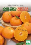효돈귤담