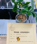 비욘드잉글리쉬 연제캠퍼스학원