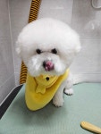 개멋진날