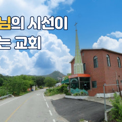 양정교회