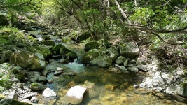 데미샘호수펜션