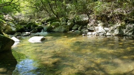 데미샘호수펜션