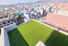 도그힐튼