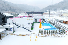 골드미펜션