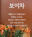 지유명차 거창점