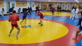 에스비SB 삼보,킥복싱 MMA