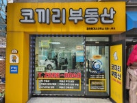 코끼리부동산공인중개사사무소