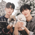 미유펫 강아지분양 고양이분양 부천점