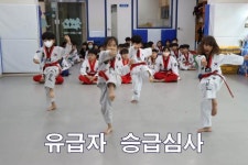 우리태권도장