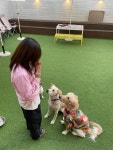 아이조아요양보호소 부산경남점