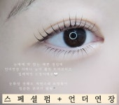 따담속눈썹 오송점