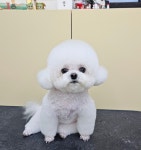 따뜻하개